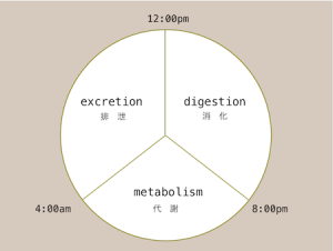 子宮筋腫を小さくするための食べ物 基本の食事について